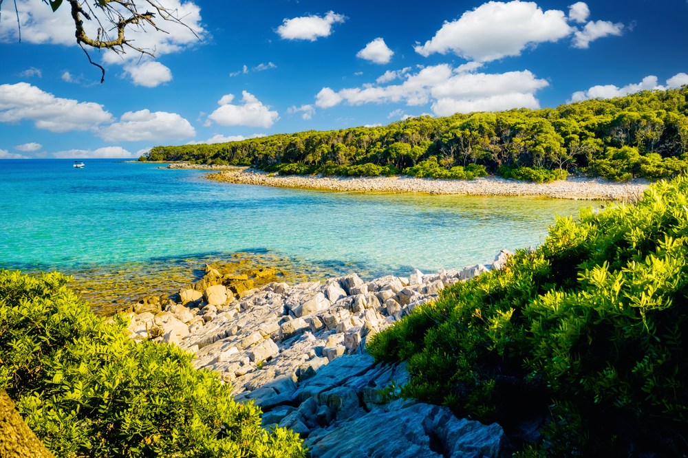 Dzika plaża z lazurową wodą, słoneczny dzień. Punta Kriza, wyspa Cres, zatoka Kvarner, Chorwacja.